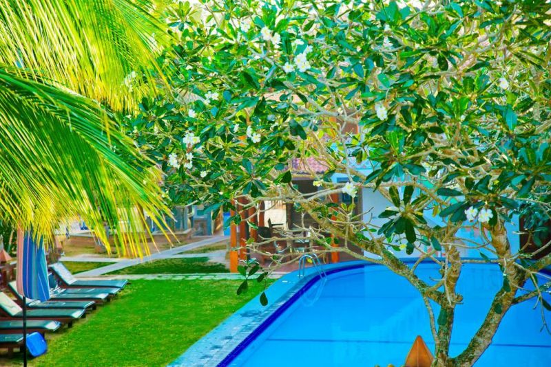 PRINCE VILLA 3*