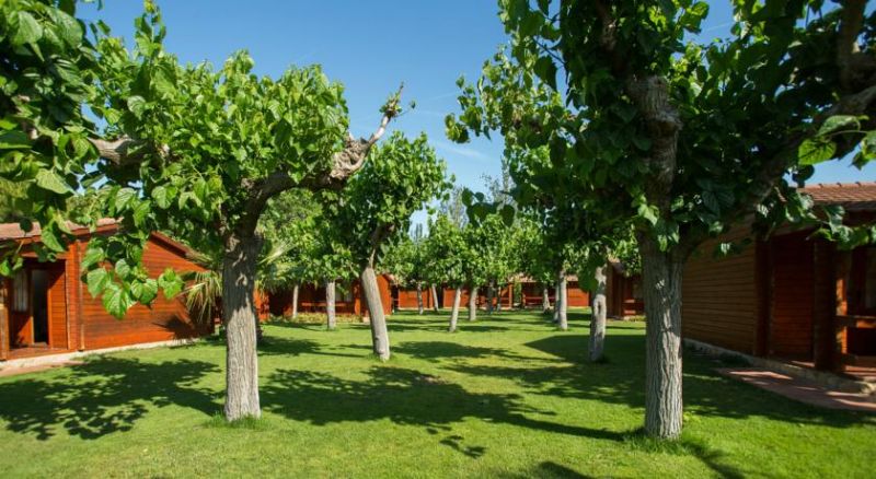 CAMPING LA LLOSA 3*