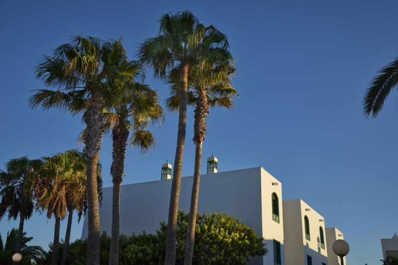 OASIS LANZ 2*