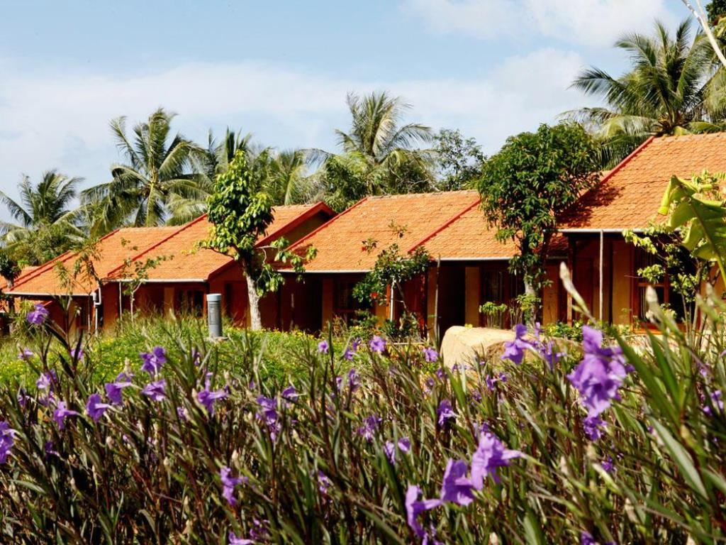 DAISY RESORT 3*