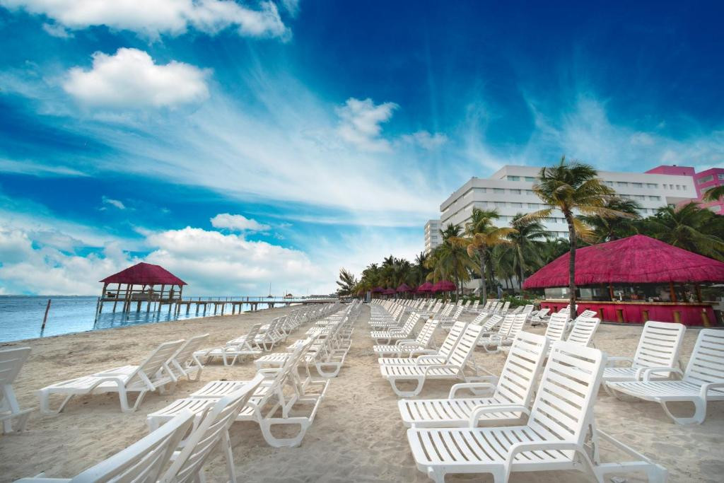 OASIS PALM 4*