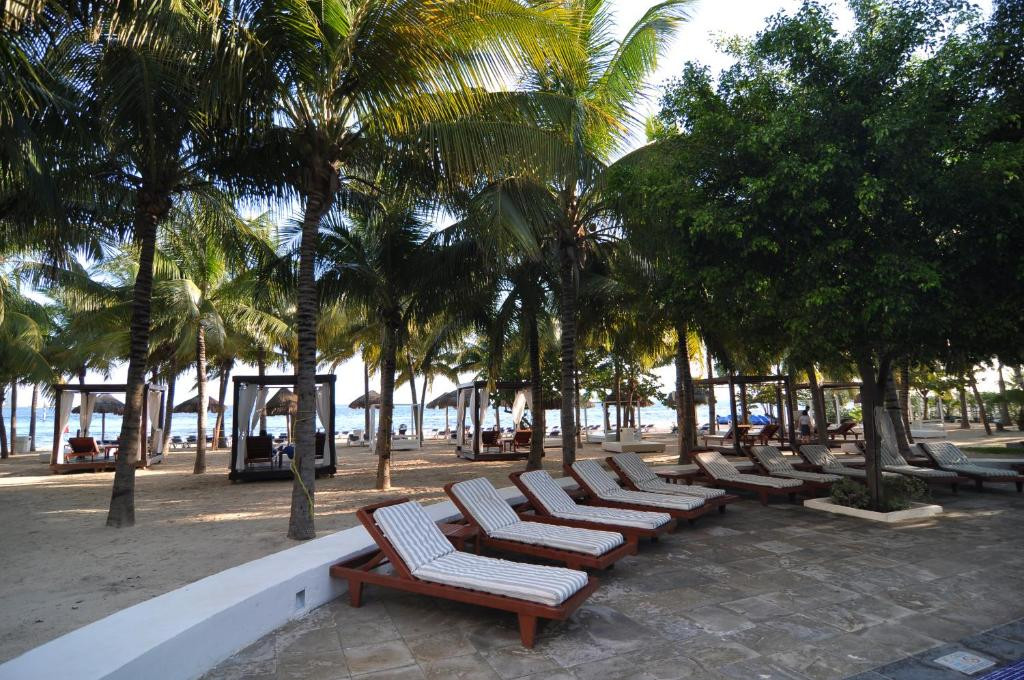 OASIS PALM 4*