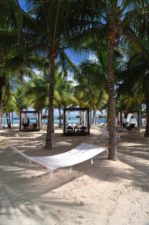 OASIS PALM 4*