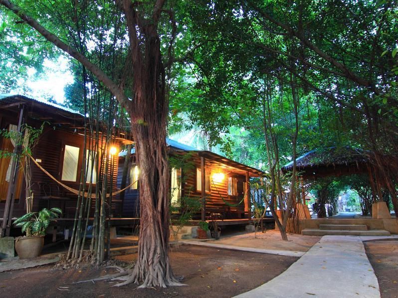 FREE HOUSE BUNGALOW 2*