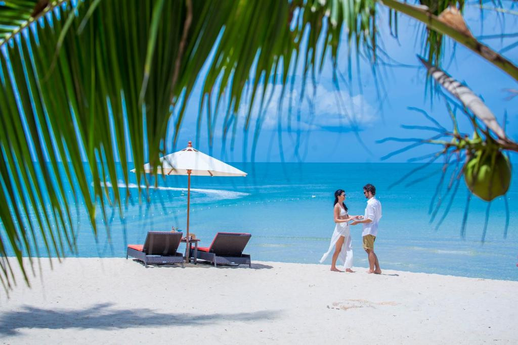 NEW STAR BEACH RESORT 4*