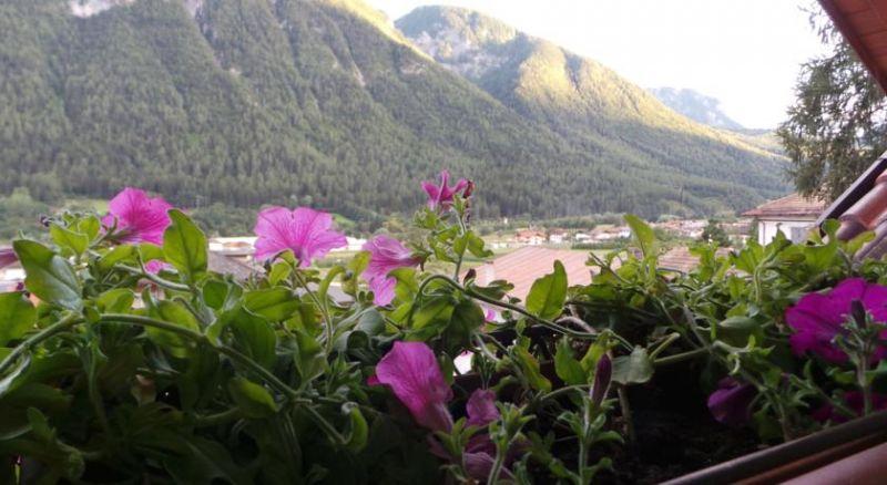 BELLA DI BOSCO 3*