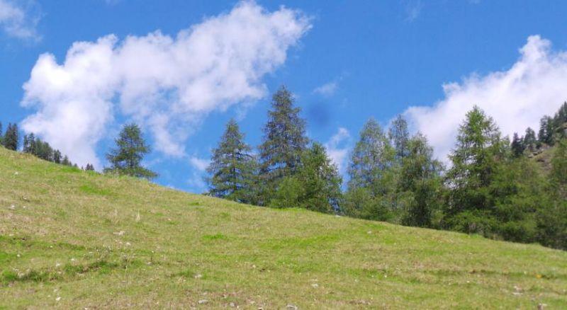 BELLA DI BOSCO 3*
