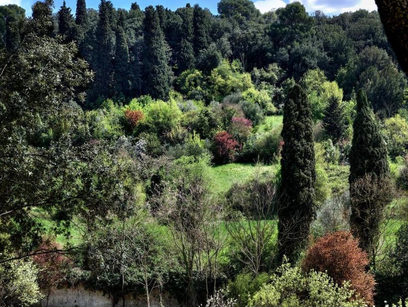 IL SALVIATINO 5*