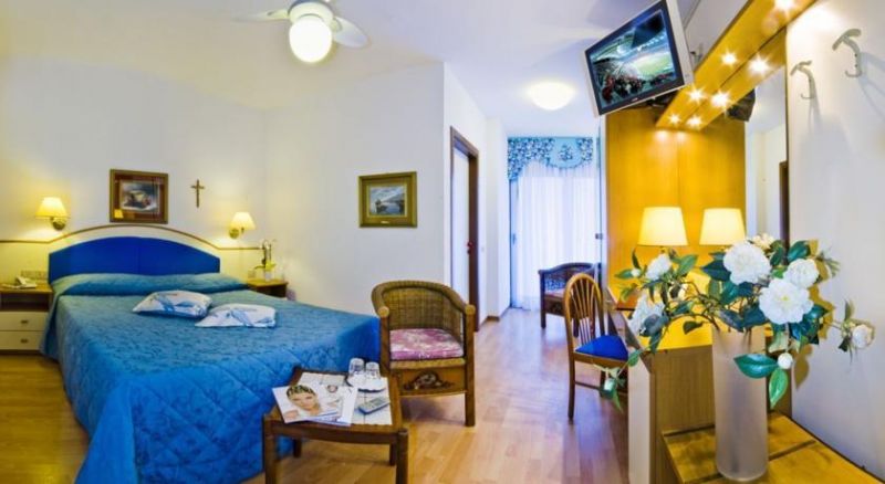 PANORAMIC 4*