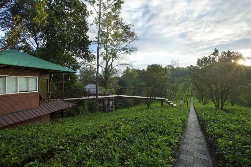 DREAM CATCHER PLANTATION RESORT 3*