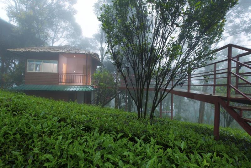 DREAM CATCHER PLANTATION RESORT 3*