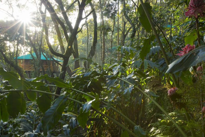 DREAM CATCHER PLANTATION RESORT 3*