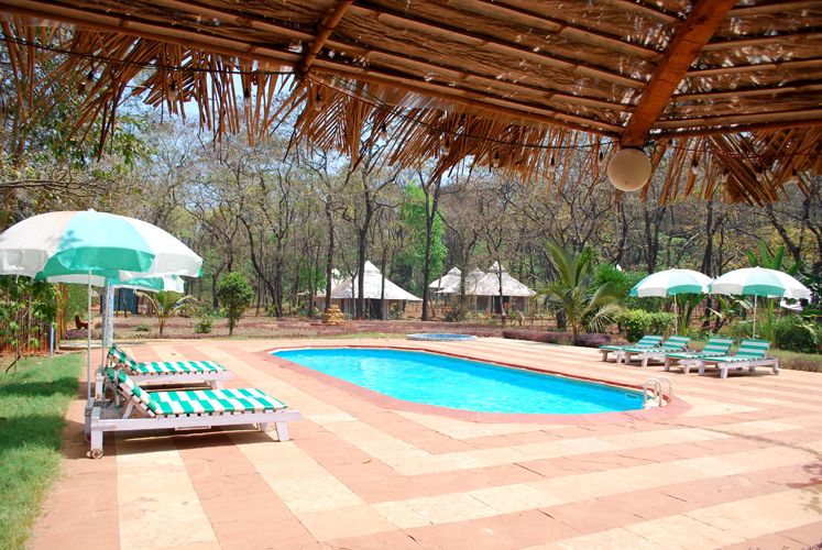 DUDHSAGAR SPA RESORT 3*