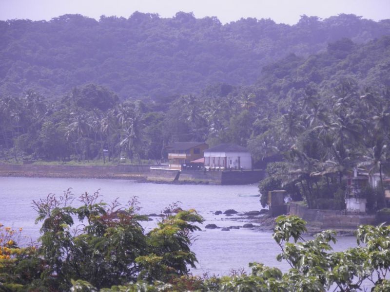 MANDOVI 3*
