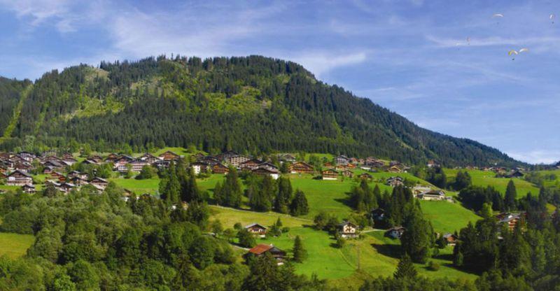RESIDENCE LES FERMES DE CHATEL 3*