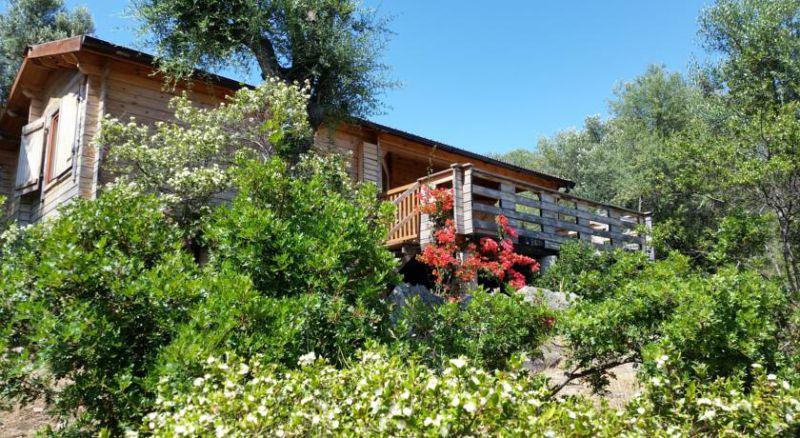 RESIDENCE MARE E MONTI 3*