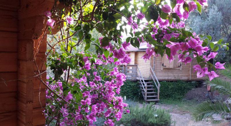 RESIDENCE MARE E MONTI 3*