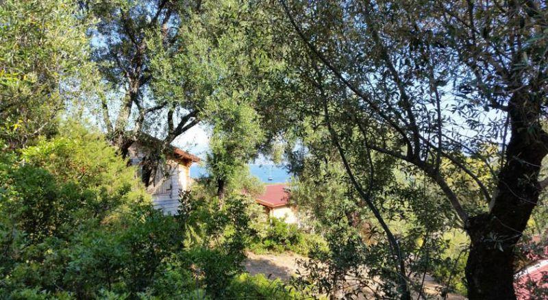 RESIDENCE MARE E MONTI 3*