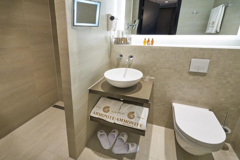 AMMONITE HOTEL AMSTERDAM 4*