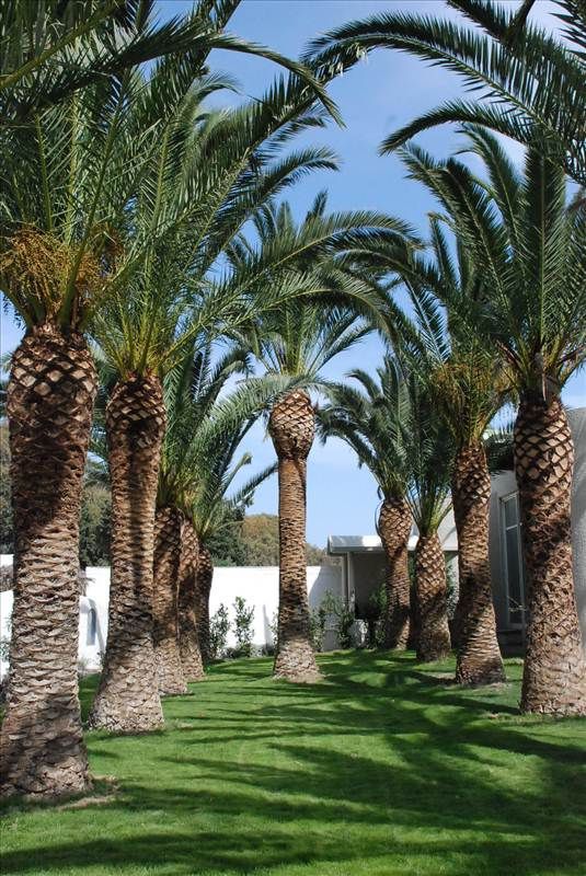 KIPRIOTIS HIPPOCRATES & MARIS SUITES 4*