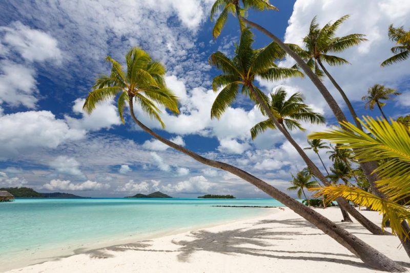 BORA BORA PEARL BEACH RESORT 4*