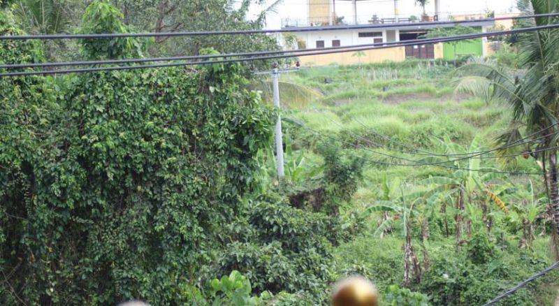 PANDE PERMAI BUNGALOWS 3*