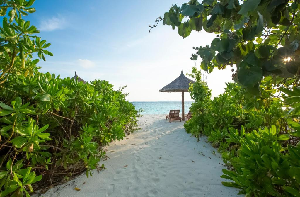 REETHI FARU RESORT 4*