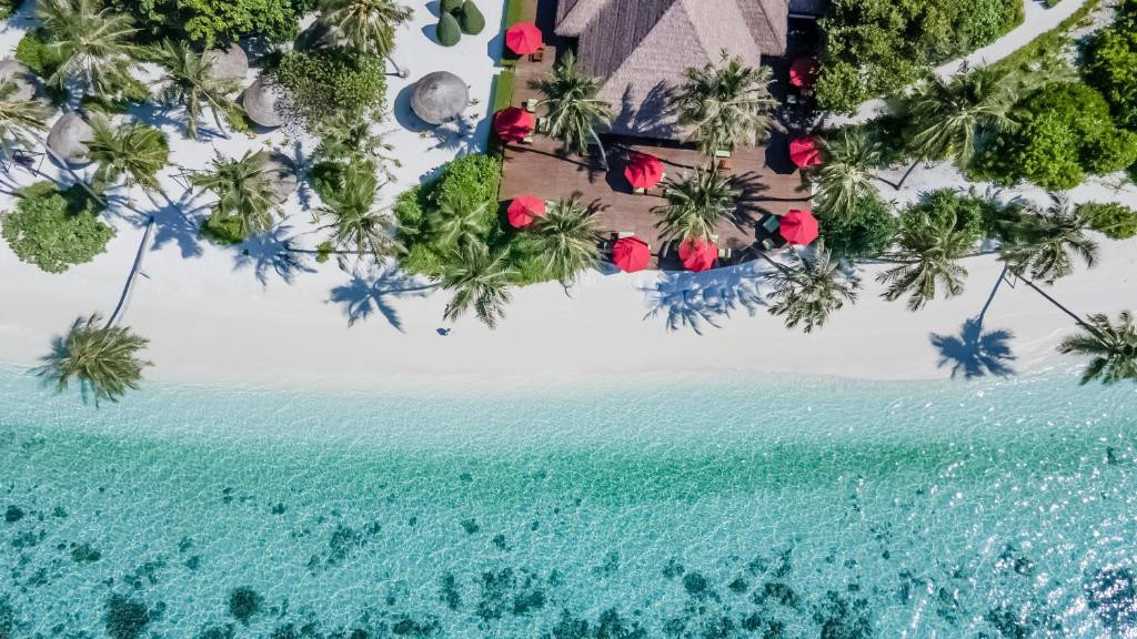 REETHI FARU RESORT 4*
