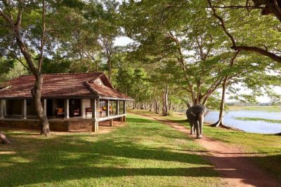 HABARANA VILLAGE BY CINNAMON