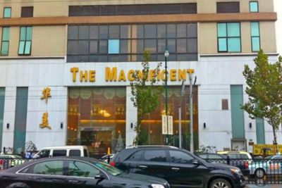 MAGNIFICENT INTERNATIONAL