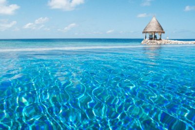 VIVANTA BY TAJ - CORAL REEF