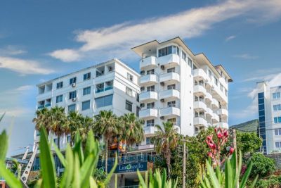 PALMERA KLEOPATRA BY LIMONCELLO