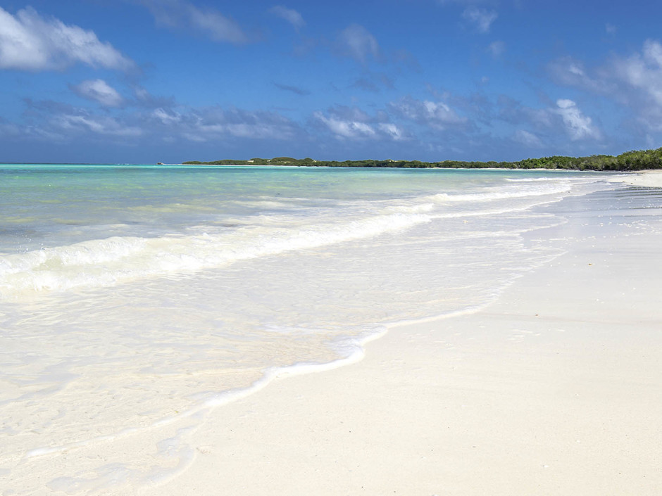 Фото отеля MELIA JARDINES DEL REY