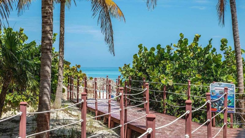 Фото отеля CUBANACAN LOS CACTUS ADULTS ONLY 16+ (EX. BE LIVE LOS CACTUS)