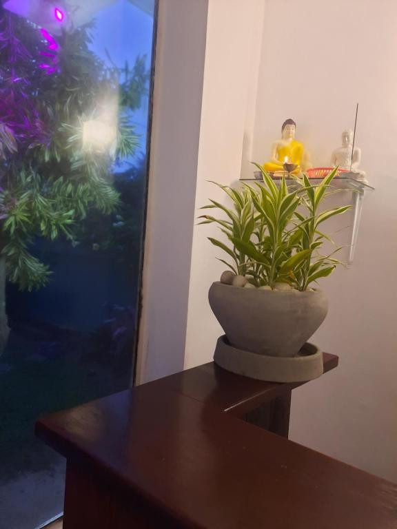 Фото отеля WHITE SURFING BEACH RESORT