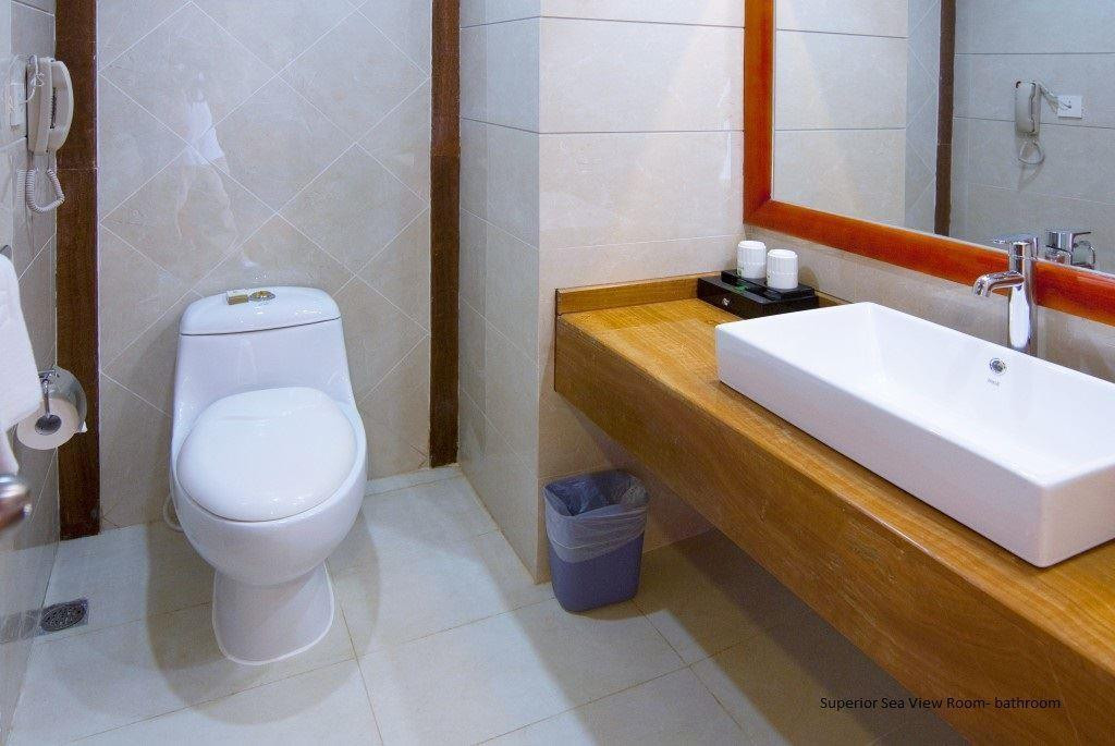 Фото отеля SOUTH CHINA HOTEL