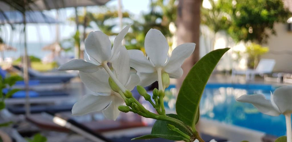 Фото отеля SUN & SAND BEACH HOTEL