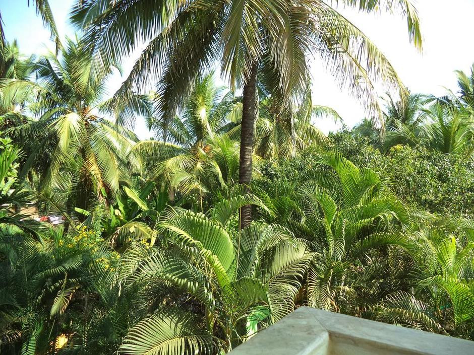 Фото отеля HOTEL FAILAKA