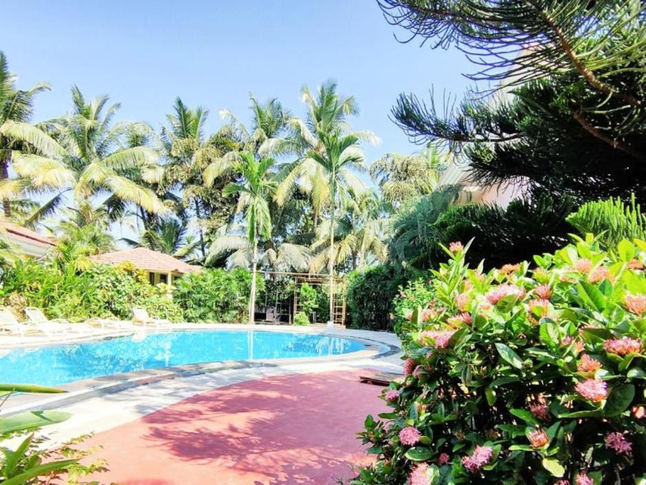 Фото отеля COCONUT GROVE