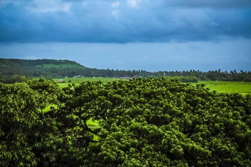 Фото отеля REGENT LAGUNA