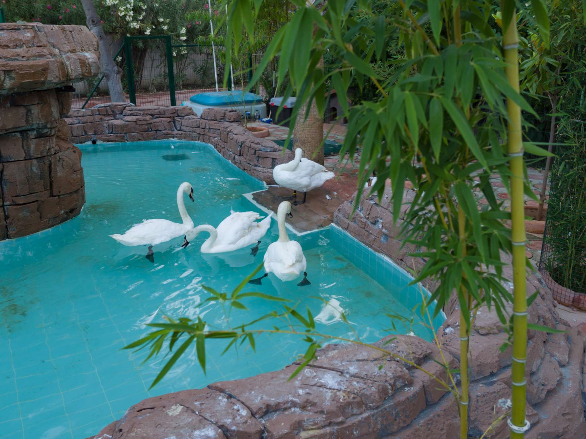 Фото отеля MG CLUB AKMAN BEACH (EX. GIARDINO SEGRETO DELLA REGINA)