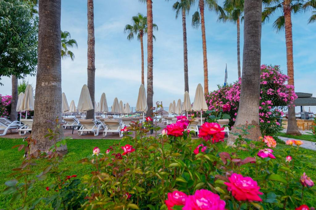 Фото отеля MERYAN