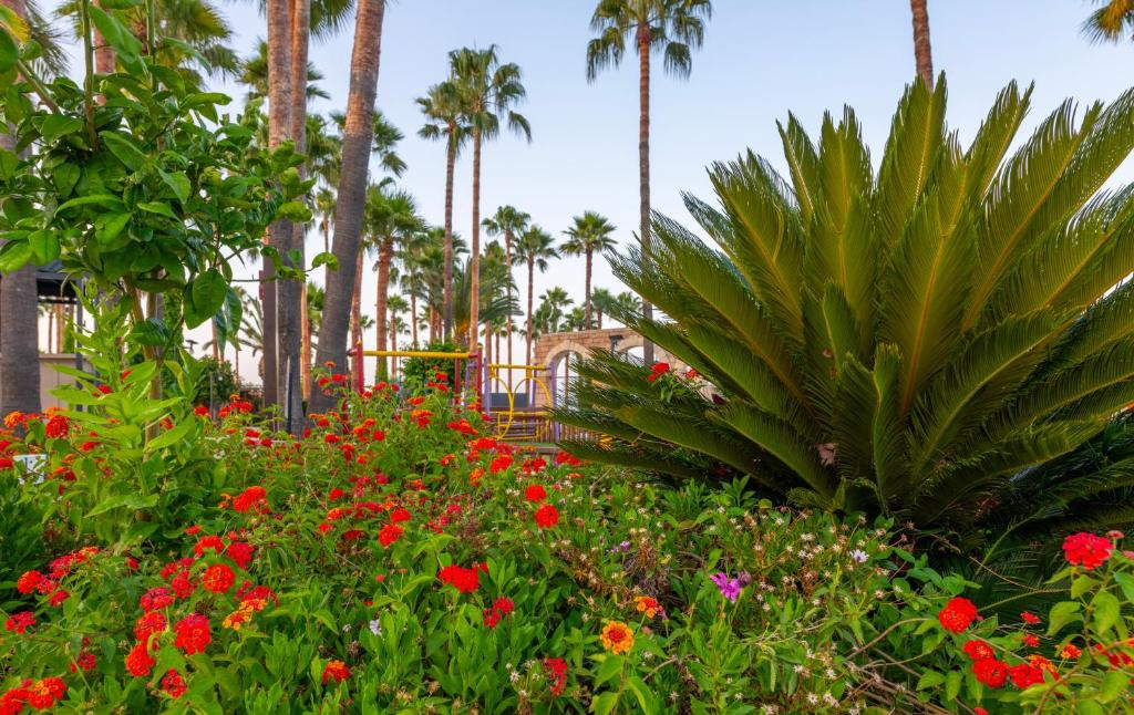 Фото отеля MERYAN