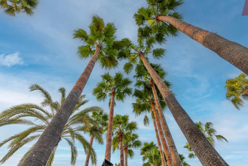 Фото отеля MERYAN