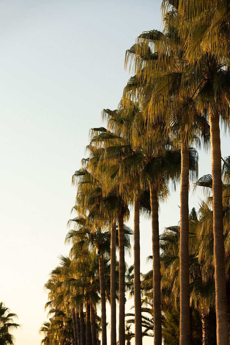 Фото отеля CASTIVAL HOTEL SIDE (EX. SIDE LA GRANDE RESORT & SPA)