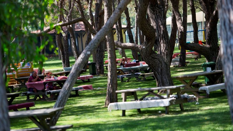 Фото отеля XANADU RESORT HOTEL