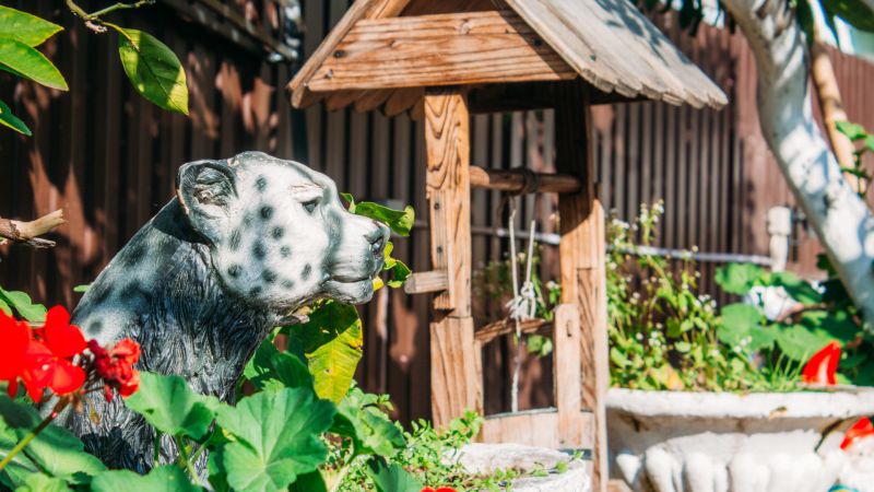 Фото отеля ANNA SARIA (АННА САРИЯ)