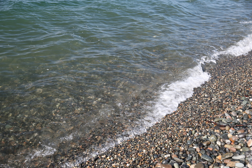 Фото отеля ЭВКАЛИПТОВАЯ РОЩА