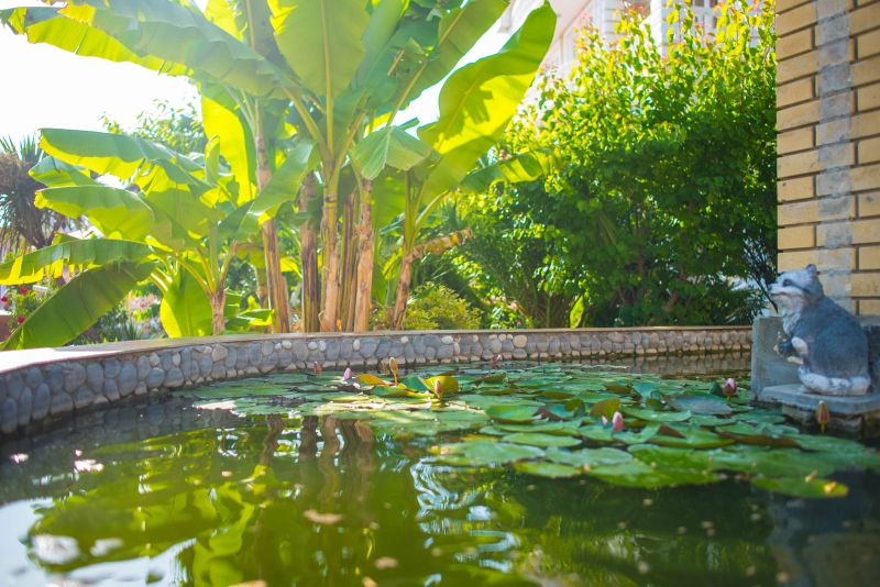 Фото отеля АРИНА ЛОО