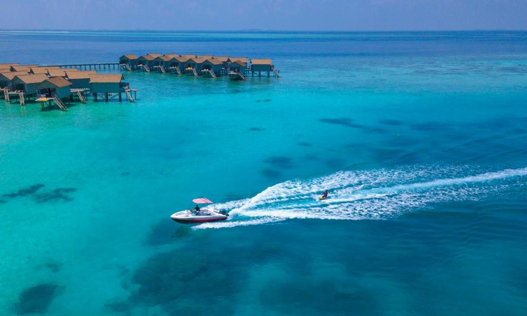 Centara Ras Fushi Resort&Spa (Adults Only 18+) — фото 3